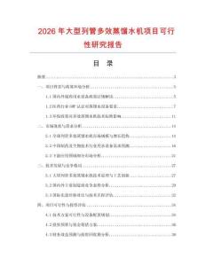2026年大型列管多效蒸餾水機(jī)項(xiàng)目可行性研究報(bào)告