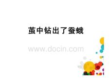 教科版三年級下冊科學-繭中鉆出了蠶蛾