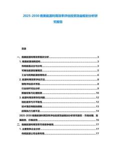 2025-2030南美能源利用效率评估投资效益规划分析研究报告