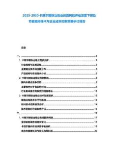 2025-2030卡塔爾鋼鐵冶煉業運營風險評估深度下探及節能減排技術與企業成本控制策略研討報告