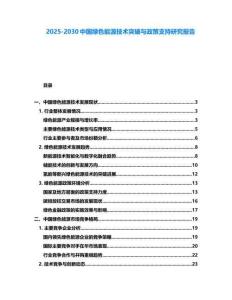 2025-2030中国绿色能源技术突破与政策支持研究报告
