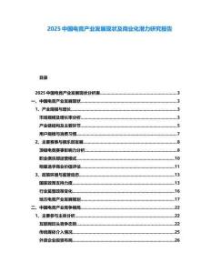 2025中国电竞产业发展现状及商业化潜力研究报告