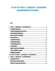 2025至2030中國SxS（遙控潛水器）行業市場深度研究及發展前景投資可行性分析報告