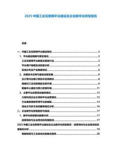 2025中国工业互联网平台建设及企业数字化转型报告