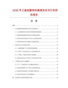 2026年乙基硅酸鋅防腐漆項(xiàng)目可行性研究報(bào)告