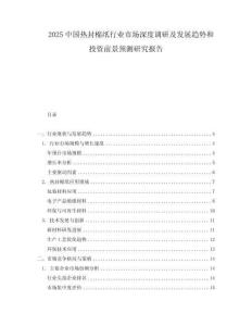 2025中國熱封棉紙行業市場深度調研及發展趨勢和投資前景預測研究報告