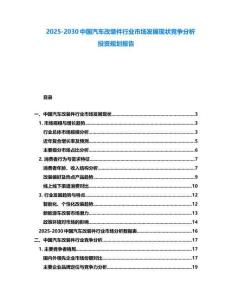 2025-2030中国汽车改装件行业市场发展现状竞争分析投资规划报告