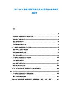 2025-2030中國衛星互聯網行業市場現狀與未來發展預測報告