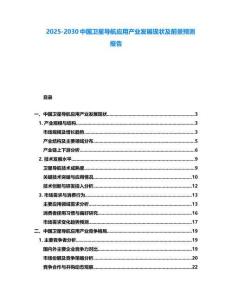 2025-2030中國衛星導航應用產業發展現狀及前景預測報告