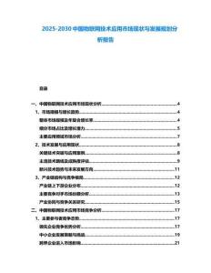 2025-2030中國物聯網技術應用市場現狀與發展規劃分析報告