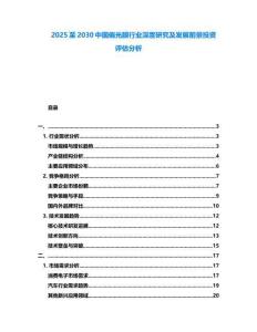 2025至2030中國偏光膜行業深度研究及發展前景投資評估分析
