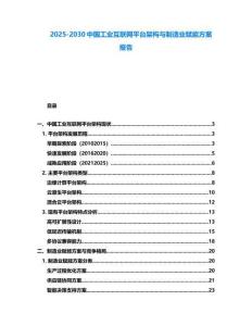 2025-2030中國工業互聯網平臺架構與制造業賦能方案報告