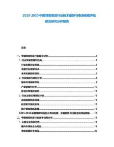 2025-2030中國精密制造行業技術革新與市場規模評估規劃研究分析報告
