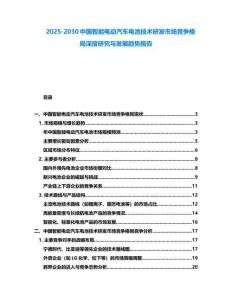 2025-2030中國智能電動汽車電池技術研發市場競爭格局深度研究與發展趨勢報告