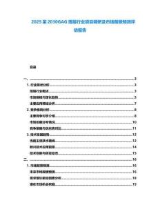 2025至2030GAG薄層行業(yè)項(xiàng)目調(diào)研及市場(chǎng)前景預(yù)測(cè)評(píng)估報(bào)告