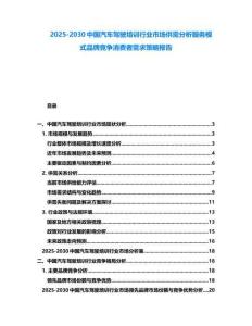 2025-2030中國汽車駕駛培訓行業市場供需分析服務模式品牌競爭消費者需求策略報告
