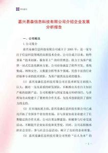嘉興易森信息科技有限公司介紹企業發展分析報告