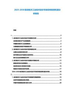 2025-2030航空航天工業技術進步市場空間投資機遇分析報告