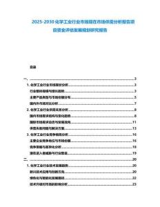 2025-2030化學(xué)工業(yè)行業(yè)市場現(xiàn)在市場供需分析報告項目資金評估發(fā)展規(guī)劃研究報告