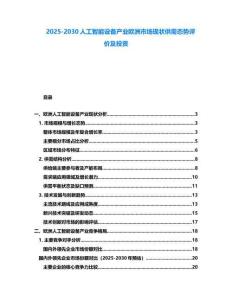 2025-2030人工智能設(shè)備產(chǎn)業(yè)歐洲市場現(xiàn)狀供需態(tài)勢評價及投資