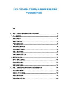 2025-2030中國人工智能芯片技術突破及商業化應用與產業鏈投資研究報告