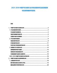 2025-2030中国汽车改装行业市场深度研究及投资趋势与投资策略研究报告