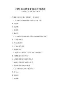 2025年大數據處理與應用考試