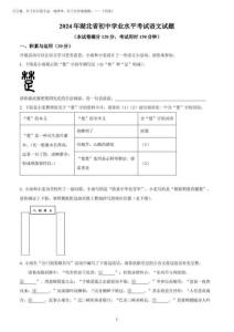 2025年湖北省中考語文試題(含答案解析)