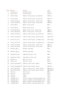 大腦分區AAL模板