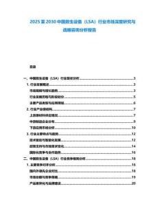 2025至2030中國救生設備（LSA）行業市場深度研究與戰略咨詢分析報告