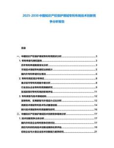 2025-2030中國知識產權保護領域專利布局技術創新競爭分析報告