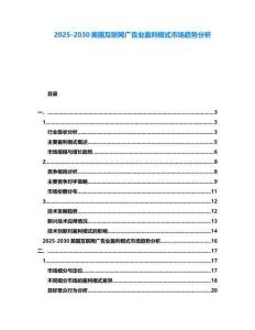 2025-2030美國互聯網廣告業盈利模式市場趨勢分析