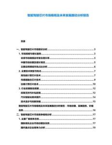 智能駕駛芯片市場格局及未來發展路徑分析報告
