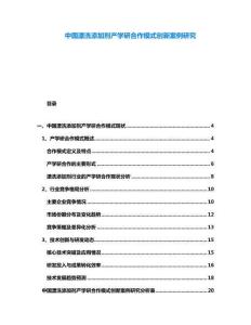 中國漂洗添加劑產學研合作模式創新案例研究