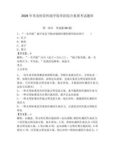 2026年青島恒星科技學院單招綜合素質考試題庫含答案詳解（b卷）