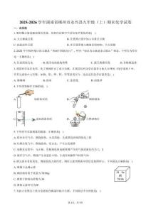 2025-2026學(xué)年湖南省郴州市永興縣九年級（上）期末化學(xué)試卷（含答案）