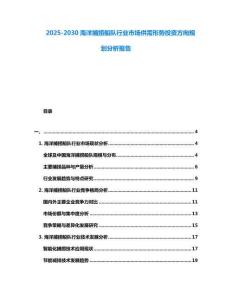 2025-2030海洋捕撈船隊行業(yè)市場供需形勢投資方向規(guī)劃分析報告