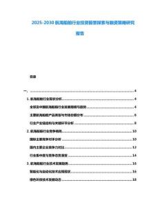 2025-2030航海船舶行業(yè)投資前景探索與融資策略研究報告