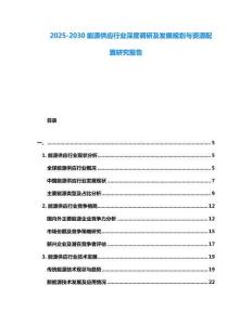 2025-2030能源供應行業深度調研及發展規劃與資源配置研究報告