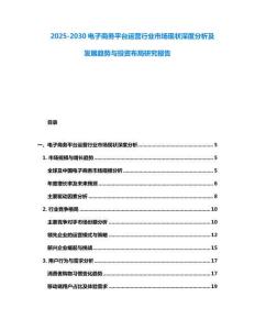 2025-2030電子商務平臺運營行業市場現狀深度分析及發展趨勢與投資布局研究報告