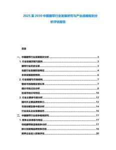 2025至2030中國腰帶行業發展研究與產業戰略規劃分析評估報告