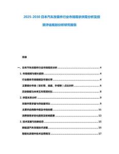 2025-2030日本汽車改裝件行業市場現狀供需分析及投資評估規劃分析研究報告