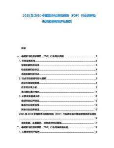 2025至2030中國欺詐檢測和預防（FDP）行業調研及市場前景預測評估報告