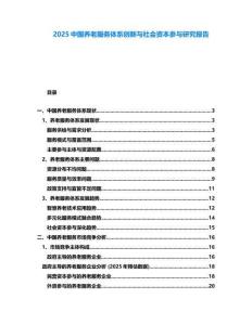 2025中國養老服務體系創新與社會資本參與研究報告
