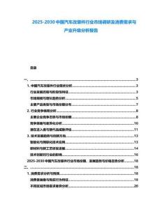 2025-2030中國汽車改裝件行業(yè)市場調(diào)研及消費需求與產(chǎn)業(yè)升級分析報告