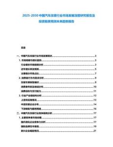 2025-2030中國汽車改裝行業(yè)市場發(fā)展深度研究報告及投資前景預(yù)測未來趨勢報告