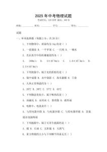 2025年中考物理試題