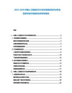 2025-2030中國人工智能芯片行業市場現狀技術分析及投資評估開發規劃分析研究報告
