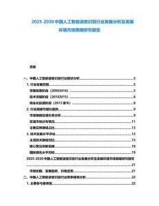 2025-2030中國人工智能語音識別行業發展分析及發展環境市場策略研究報告