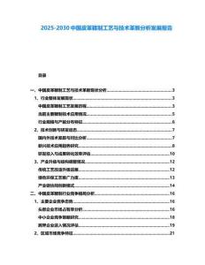 2025-2030中國皮革鞣制工藝與技術革新分析發展報告